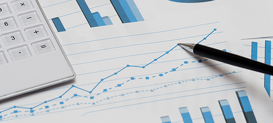 Impactul anumitor indicatori asupra salariului net  